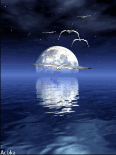 Rituels magiques pour tous