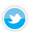 twitter_magie_rose